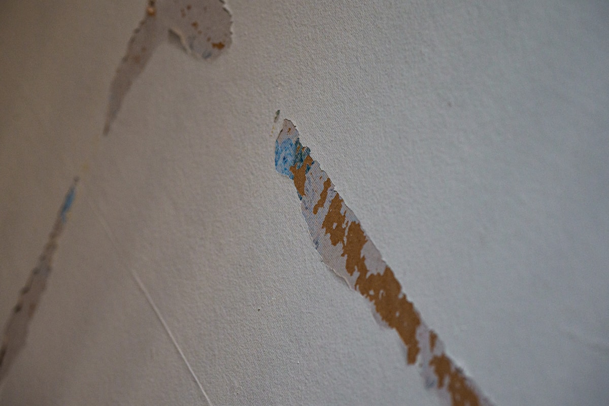 Sewage Cleanup service in Kokomo, IN